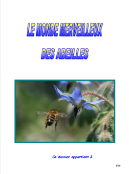 thumbnail - Le monde merveilleux des abeilles - Dossier pédagogique